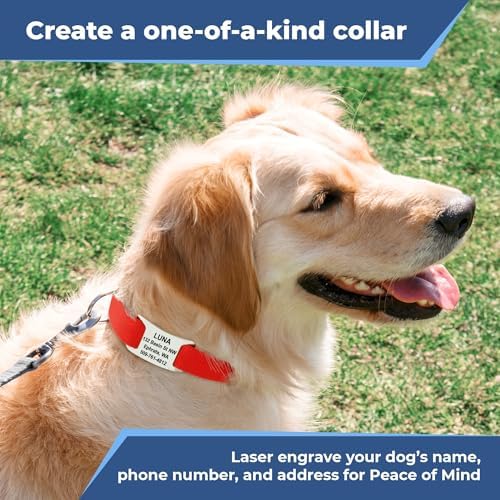GoTags Dog Collar with Personalized Nameplate, Adjustable Dog Collar with Custom Engraved Slide On Pet ID Tag in Stainless Steel, Silent, No Noise Dog Tag Small to Large Unique Colors