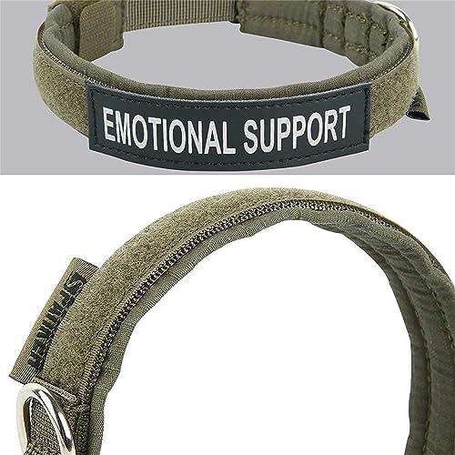 EXCELLENT ELITE SPANKER Military Nylon Small Puppy Dog Collar with Padded