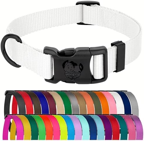 Country Brook Petz - Everyday Nylon Dog Collar for Large, Medium, and Small Dogs and Puppies - for Everyday Use in 30+ Colors (Medium, 3/4 Inch, White)