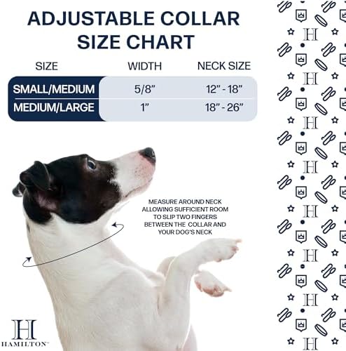 Hamilton Heavy Duty Nylon Buckle Dog Collar, 1" x 32", Blue
