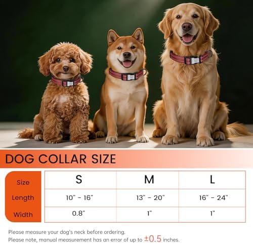 Personalized Dog Collar with QR Code Dog Tag, Wine 05 S