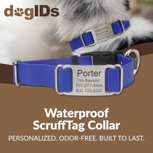 dogIDs Personalized Quick Release Waterprooft ScruffTag Dog Collar - Built-in Custom Laser Engraved Nameplate, Odor Resistant - Blue, 3/4 in x 11-14 in (Fits Neck Sizes: 11-14 in)