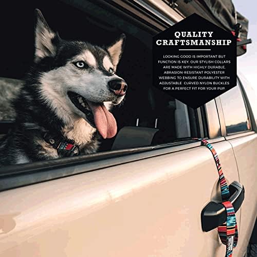 Wolfgang Heavy Duty, Adjustable Dog Collar with Quick Release Nylon Buckle for Walking & Training, Quetzal Print, Small