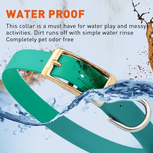 Viper Biothane Heavy Duty Waterproof Dog Collar Strong Coated Nylon Webbing w/Solid Brass Hardware Odor-Proof Easy to Clean High Performance Fits Small Medium or Large Dogs, Teal