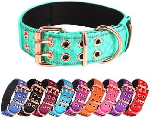 Heavy Duty Dog Collar for Medium Large Dogs,Teal,Medium