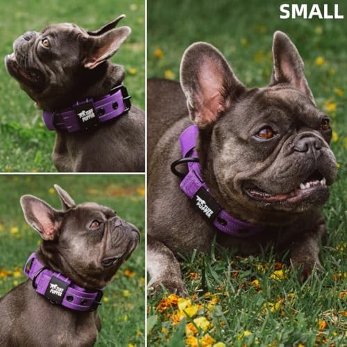Tuff Pupper Heavy Duty Tactical Dog Collar | 1.25" Wide Ballistic Nylon | Reflective Stitching | Integrated ID Tag Holder | Stainless Steel Buckle | Padded Lining | Small & Medium Dogs (Purple, Small)