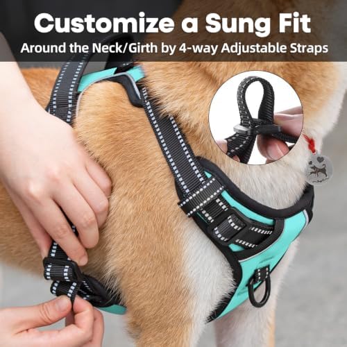 PoyPet No Pull Dog Harness Small, Reflective Vest with Front Clip & Handle