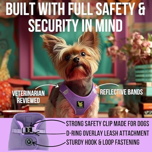 EcoBark Premium Teacup Dog Harness, Mini Step in Vest, XXXS, Lavender
