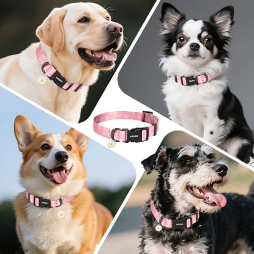 Kazazoo Dog Collar Cute and Soft Nylon Puppy Collar Girl Dogs, Adjustable Dog Collars for Extra Small Dogs, Pink Daisy-XS