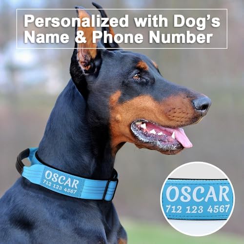 Personalized Tactical Dog Collar with Name and Phone Number, Heavy Duty Nylon Military Dog Collar with Handle and Strong Metal Buckle for Medium and Large Dogs