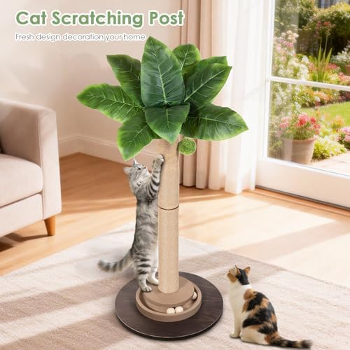 41.5" Tall Cat Scratching Post, Canna Leaf Cat Scratcher with Sisal Rope & Interactive Toys for Indoor Cats