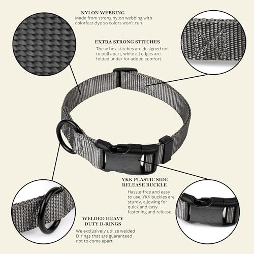 Country Brook Petz - Everyday Nylon Dog Collar for Large, Medium, and Small Dogs and Puppies - for Everyday Use in 30+ Colors (Small, 3/4 Inch Wide, Charcoal)