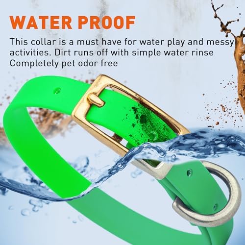 Viper Biothane Heavy Duty Waterproof Dog Collar Strong Coated Nylon Webbing w/Solid Brass Hardware Odor-Proof Easy to Clean High Performance Fits Small Medium or Large Dogs, Tropical Green