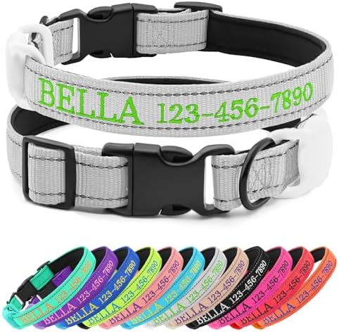 Personalized Nylon Dog Collar with Embroidered Name, Gray