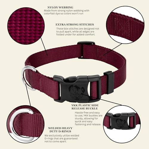 Country Brook Petz - Everyday Nylon Dog Collar for Large, Medium, and Small Dogs and Puppies - for Everyday Use in 30+ Colors (Small, 3/4 Inch Wide, Burgundy)