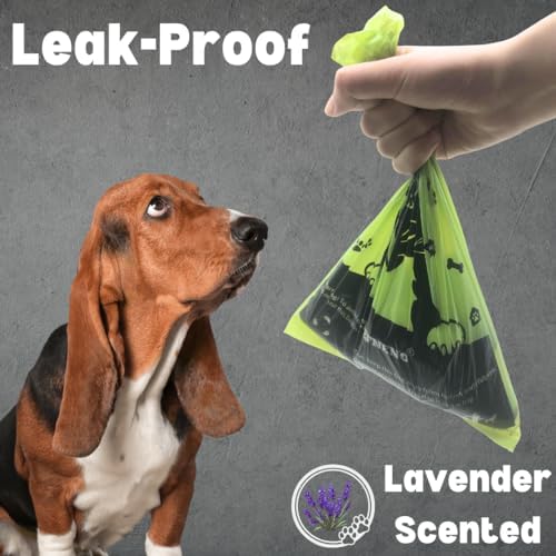 Doggy Poop Bags with Dispenser (576 Bags) Dog Waste Pickup Bags Refill Rolls Cat Waste Bags (Green, 32 Rolls, Lavender Scented)