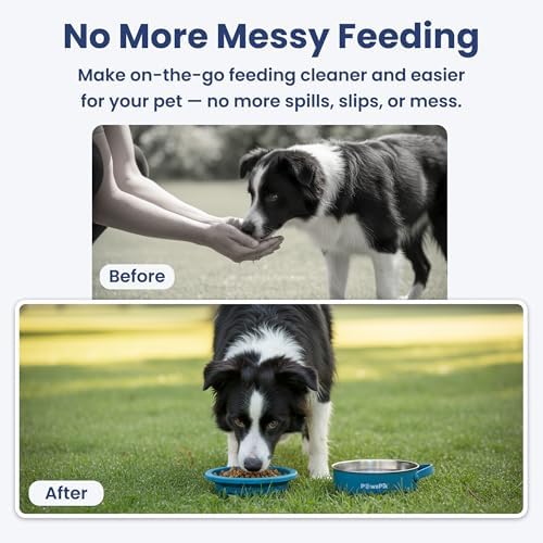 PawsPik 2-in-1 Travel Dog & Cat Bowl – Collapsible BPA-Free Silicone