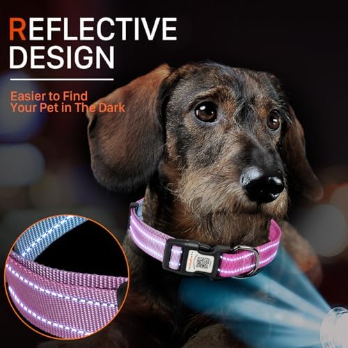 Personalized Dog Collar with QR Code Dog Tag, Blue&Rose Red S