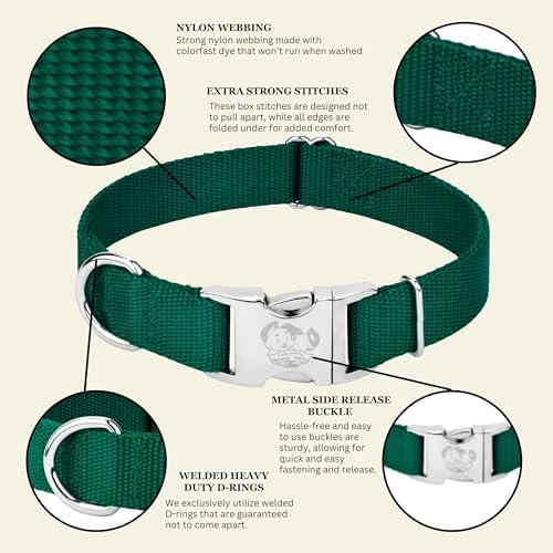 Country Brook Petz - Premium Nylon Dog Collar with Metal Buckle for Small Medium Large Breeds - 30+ Colors (Extra Large, 1 Inch, Green)