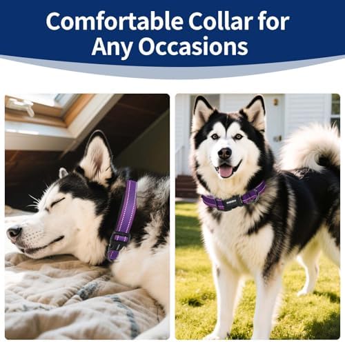Kazazoo Large Dog Collar, Reflective Nylon Collar,No Pull,Heavy Duty Collar,Soft Neoprene Breathable & Quick Release Buckle Dog Collars for Labrador Retriever,German Shepherd,Golden Retriever Purple-L