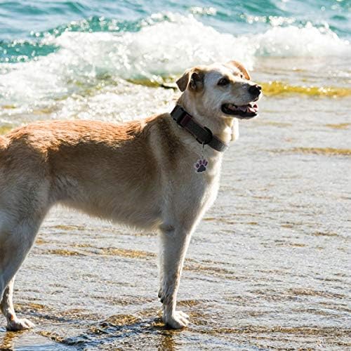 Dog Collar Waterproof Pet Collars,Neck Adjustable Silicone Dog Collar with Strong Coated Webbing and Cute Metal Pendant for Boy Girls Dog Collars S/M/L Sizes