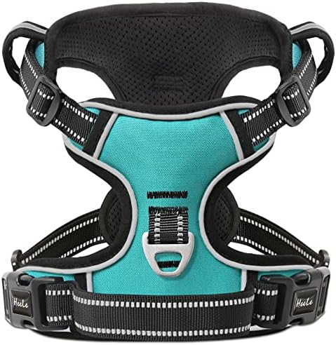 HEELE Dog Harness Dog Harness Small Dog No Pull Harness wiht Soft Handle Reflective Harness Adjustable, Turquoise, S