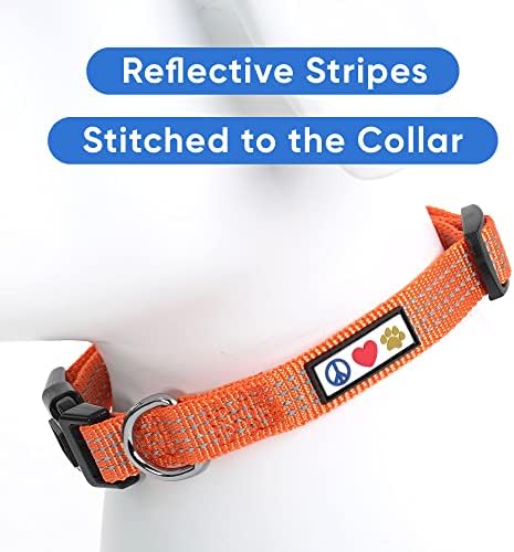 Pawtitas Reflective Orange Puppy or Dog Collar, Medium