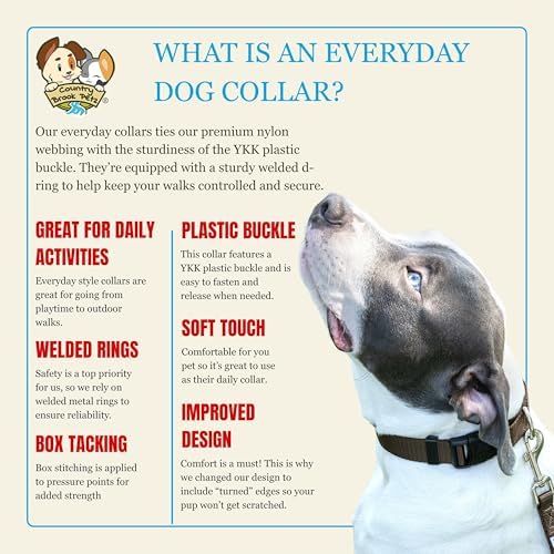 Country Brook Petz - Everyday Nylon Dog Collar for Large, Medium, and Small Dogs and Puppies - for Everyday Use in 30+ Colors (Extra Large, 1 Inch Wide, Bright Royal Blue)