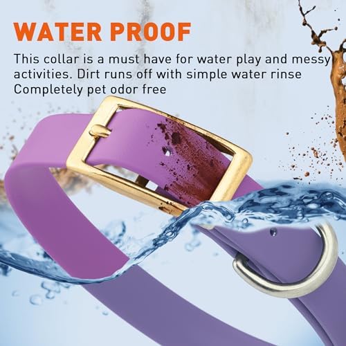 Viper Biothane Heavy Duty Waterproof Dog Collar Strong Coated Nylon Webbing w/Solid Brass Hardware Odor-Proof for Easy Care to Clean High Performance Fits Small Medium or Large Dogs, Amethyst Purple