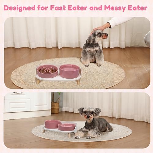 Elevated Slow Feeder Dog Bowls with Splash Proof Stand, Slow Eating 5X