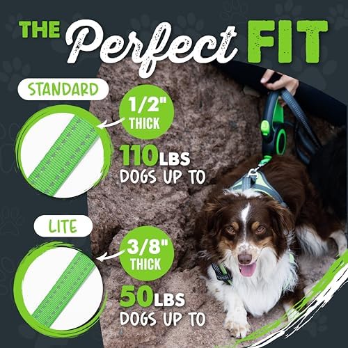 Mighty Paw Retractable Dog Leash 2.0, 16 Ft, for Medium Dogs, Heavy Duty