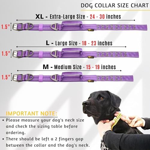 ADITYNA Heavy Duty Dog Collar for Extra-Large Dogs with Traffic Handle
