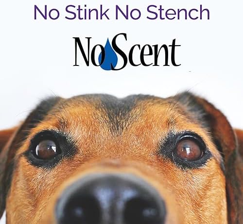 No Scent Carpet Upholstery & Fabric Furniture Spray Spot Cleaner for Wet Dog Smell, Cat Spray, Pet Odor, Urine, Poop & Secretions (2 Fl Oz / 59 mL)