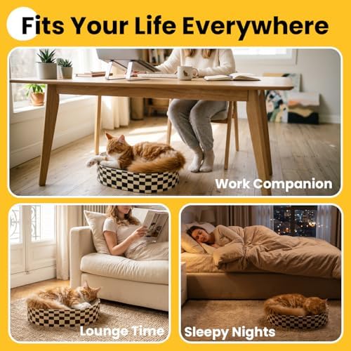 Conlun Oval Cat Scratcher Bed Bowl Lounge for Kittens | Medium | 2 Pack