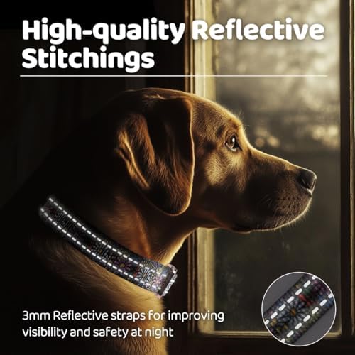 QQPETS Reflective Dog Collar with Metal Buckle Adjustable Nylon Collars Gift for Small Medium Large Boys Girls Dogs