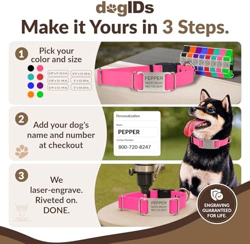dogIDs Personalized Quick Release Waterprooft ScruffTag Dog Collar - Built-in Custom Laser Engraved Nameplate, Odor Resistant - Magenta, 3/4 in x 14-18 in (Fits Neck Sizes: 14-18 in)