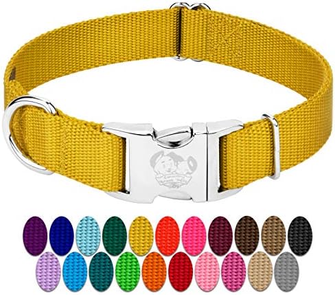Country Brook Petz - Premium Nylon Dog Collar with Metal Buckle for Small Medium Large Breeds - 30+ Colors (Medium, 3/4 Inch, Gold)