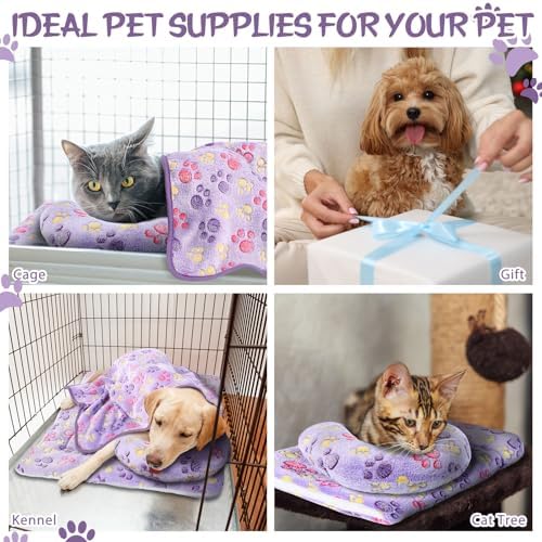Namalu 3 Pack Soft Cat Bed Mat with Blanket and Pillow Indoor