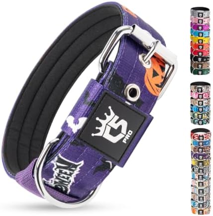 TSPRO Heavy Duty Thick Dog Collar with Metal Buckle for Small Dogs
