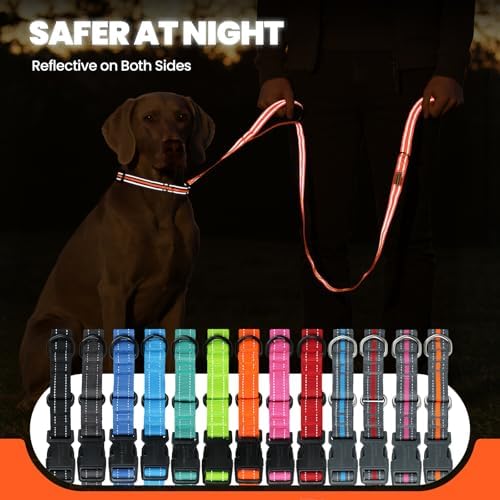VIVAGLORY Double Handle Dog Leash Twingrip, 5ft x 1in, M2, Orange Grey