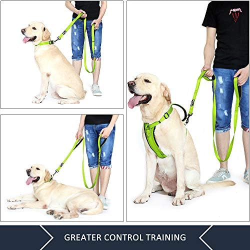 Plutus Pet Double Handle Dog Leash, 6 FT Long, for Medium Large Dogs
