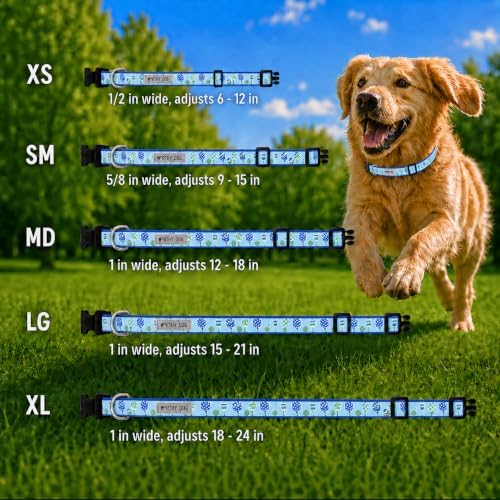 THE WORTHY DOG Fun Icon Print, Adjustable Dog Collar, Small Dogs,Pickleball