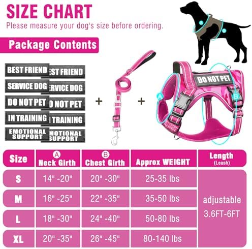 Tactical Dog Harness and Leash Set with 10 Patches for Large Dogs
