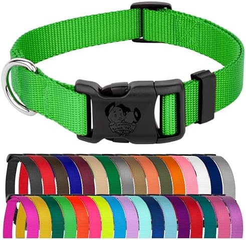 Country Brook Petz - Everyday Nylon Dog Collar for Large, Medium, and Small Dogs and Puppies - for Everyday Use in 30+ Colors (Medium, 3/4 Inch Wide, Hot Lime Green)