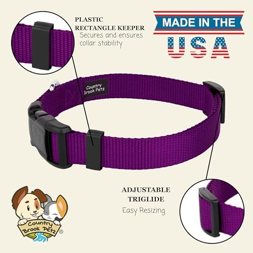 Country Brook Petz - Everyday Nylon Dog Collar for Large, Medium, and Small Dogs and Puppies - for Everyday Use in 30+ Colors (Large, 1 Inch Wide, Purple)