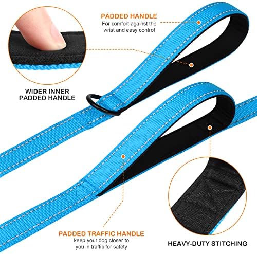 Joytale Dog Leash for Large Dogs that Pull, Double Handle, 5FT, Aqua Blue
