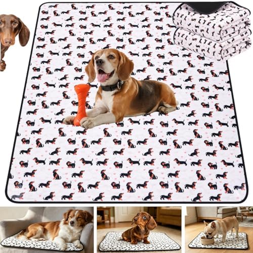 Washable Pee Pads for Dogs,2 Pack Reusable Puppy Training Pads-Funny Dachshund Print,Odor Resistant Super Absorbent,for Crate,Playpen,Floor,Whelping & Housebreaking