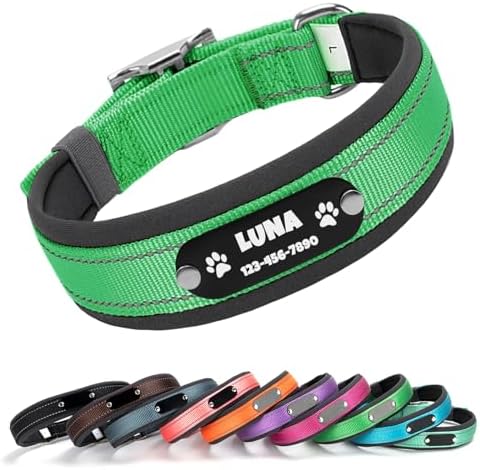 Custom Dog Collar with Engraved Name & Number, Green: L