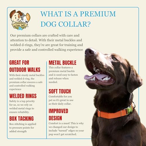 Country Brook Petz - Premium Nylon Dog Collar with Metal Buckle for Small Medium Large Breeds - 30+ Colors (Extra Large, 1 Inch, Orange)