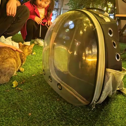 Large Cat Carrier Backpacks Dog Carriers for Small Dogs Carrier Cat Bag Pet Carrier for Cat Backpack Carrier Small Pet Carrier Airline Approved